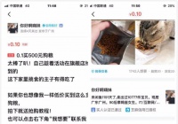 闲鱼日引100粉实战经验分享