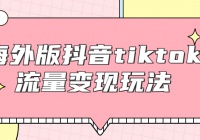 海外版抖音tiktok流量变现玩法