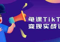 TikTok变现实战训练营